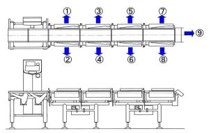 Cara Kerja Checkweigher: Prinsip Dasar dan Komponen Penting
