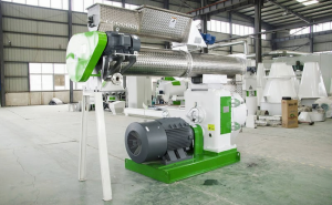 Panduan QC Otomatis di Industri Pakan Ayam