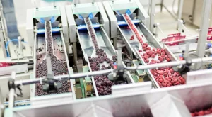 Mengapa Industri Frozen Food Butuh X-Ray Inspection