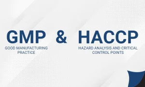 GMP vs HACCP: Apa Bedanya dan Mana yang Wajib Diterapkan?