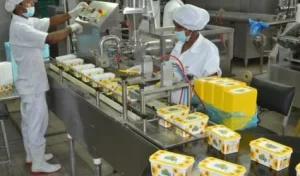 Studi Kasus: ROI Implementasi QC Otomatis di Pabrik Lokal