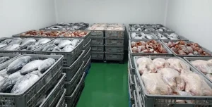 Cara Mencegah False Reject di Pabrik Seafood