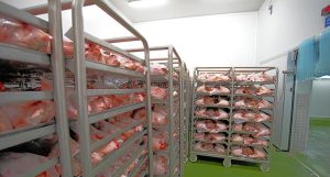 Studi Kasus: Efisiensi QC di Pabrik Daging Beku Indonesia