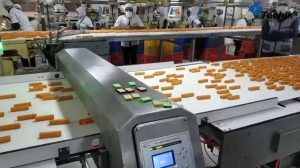 Metal Detector Inline untuk Jalur Produksi Biskuit