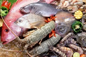 Deteksi Benda Asing Non-Logam pada Produk Seafood