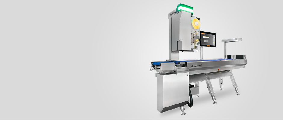 Espera Checkweigher untuk Weigh-Price-Labeling Line