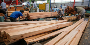 Solusi Product Inspection untuk Industri Barang Bangunan dari Kayu
