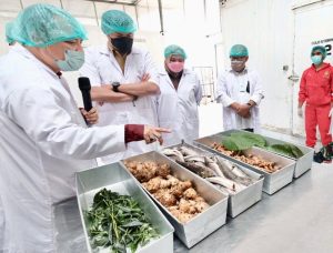 Solusi Product Inspection untuk Industri Produk Obat Tradisional untuk Manusia