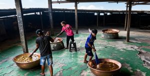 Solusi Product Inspection untuk Industri Dodol