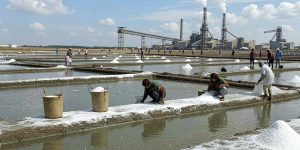 Solusi Product Inspection untuk Industri Pengolahan Garam