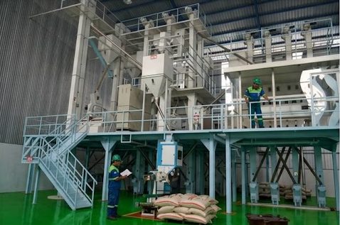 Solusi Product Inspection untuk Industri Penggilingan Padi Dan Penyosohan Beras