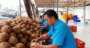 Solusi Product Inspection untuk Industri Minyak Mentah Kelapa